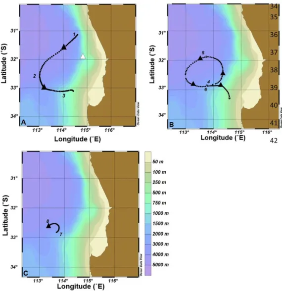 Fig. 9. Tracks of Lagrangian drifters which moved (A) around the outside perimeter of the forming eddy (Drifter 1; Period 1) about 150 km from the eddy center at 0.9 m s 21 , (B) just inside the perimeter of the eddy (Drifter 2a, Periods 1–2) about 90 km f