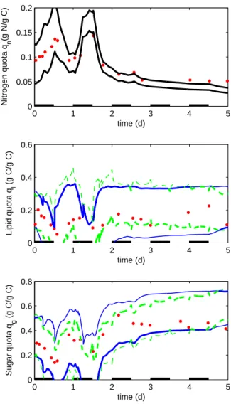 Figure 6: Second experiment (day-night cycle). Interval estimations of the nitrogen (top), neutral lipid (middle) and carbohydrate (down) quotas provided by framer (27)-(30)