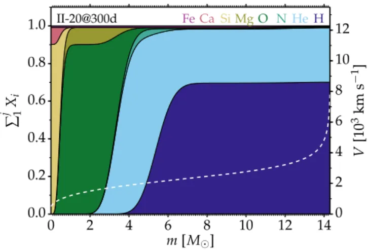 Fig. 1. Cumulative composition and velocity profiles versus Lagrangian mass in the ejecta of the SN II model based on the 20 M  ZAMS star.