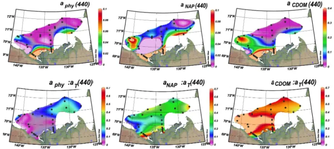 Fig. 3. Horizontal variability of absorption coefficients at 440 nm in the surface waters for phytoplankton (left), NAP (center) and CDOM (right), and their contribution to the total non-water absorption (bottom panels).