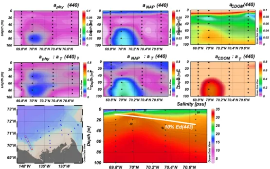 Fig. 4. Vertical variability of phytoplankton (left), non-algal particles (center) and colored dissolved organic matter (right) absorption coefficients at 440 nm along a cross section over the Mackenzie canyon, and their contribution to total non-water abs