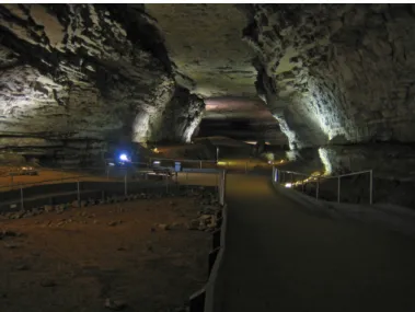 Figure 11 Example of a passage with different scales of perturba- perturba-tion: the top and the floor of the conduit are roughly flat whereas its sides are more wavy (Mammoth Cave, US).