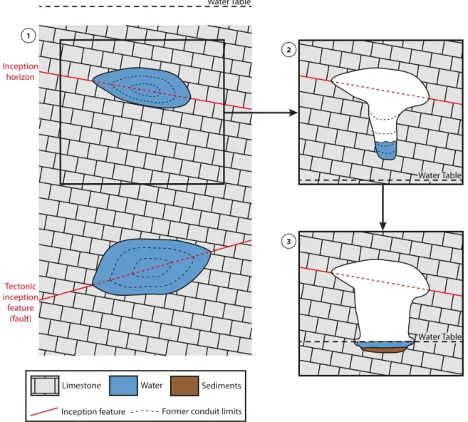 Figure 4 Evolution of a karstic conduit depending on its position relative to the water table: 1