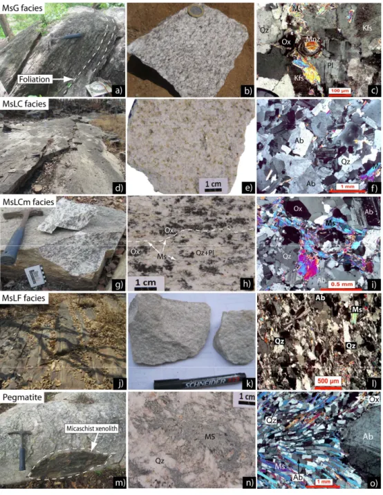 Figure 4. Photographs of the two main group rocks of Mayo Salah pluton. Muscovite-granite (MsG)  and muscovite-leucogranite with its four subtypes (MsLC, MsLCm, MsLF, and Pegmatite, abbreviation  code is the same as in Figure 3): (a,d,g,j,m) Field photogra