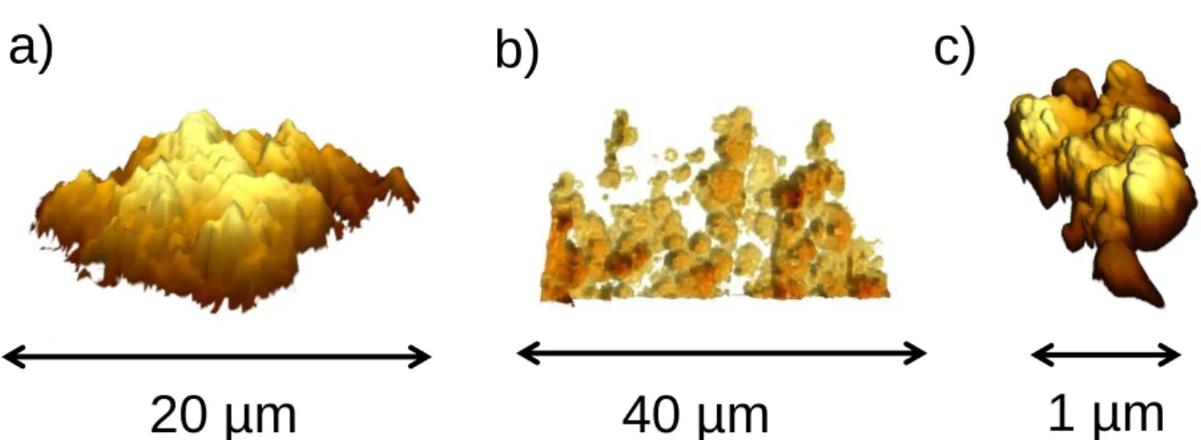 Fig. 6. 3D rendered images of MIDAS dust particles. Panel a: particle F as example for a large agglomerate particle whose subunits are packed in a moderately dense fashion on the surface (Mannel et al