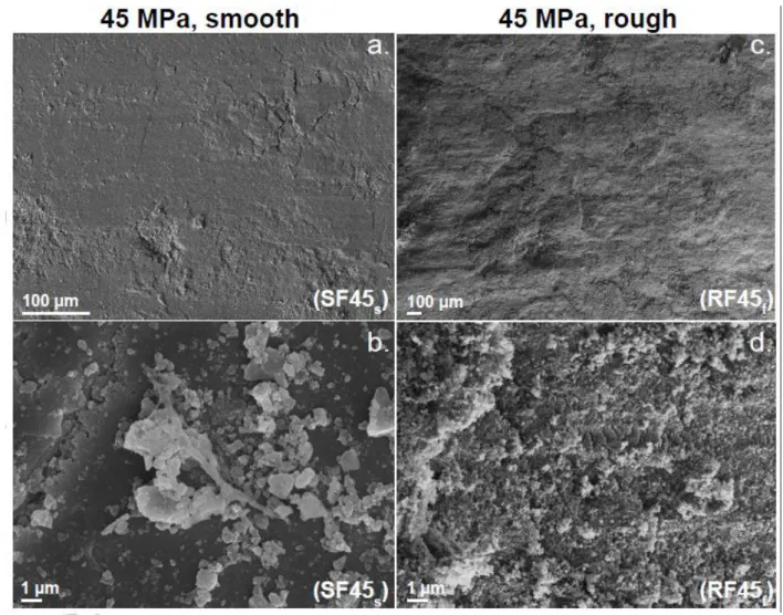 Figure 7. SEM micrographs at low confining pressure. At low confining pressure (45 MPa),  striations remain visible the microscale, in both the cases of initially smooth or rough faults (a  and c)