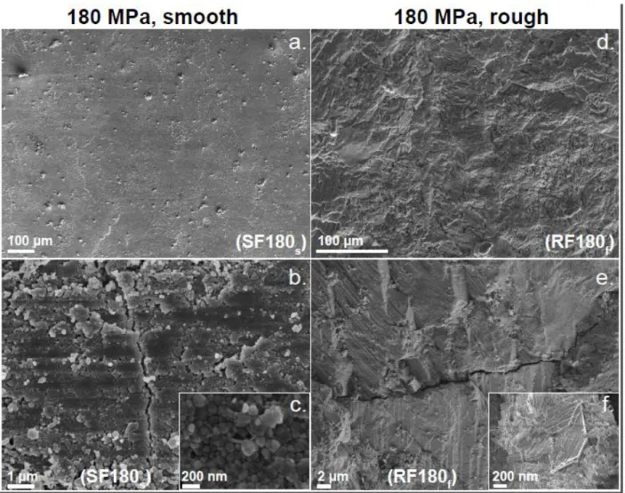 Figure 8. SEM  micrographs at high confining pressure.  At high confining pressure (180  MPa), striations are invisible at the millimetric scale (a and d)
