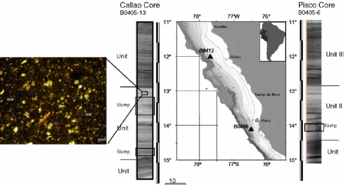 Fig. 1. Location and X-ray images of Pisco core (B0405-06, 14°07.90 S, 76°30.10W, 299 m  depth) and Callao Core (B0405-13, 12°00′S, 72°42′S, 184 m depth) off the central-south  Peruvian coast