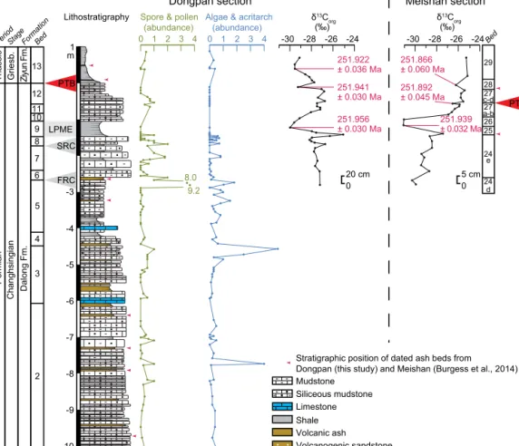 Figure 7. Comparison of the organic carbon isotope chemostratigraphy of Dongpan (Zhang et al., 2006) with that of Meishan (Cao et al., 2002)