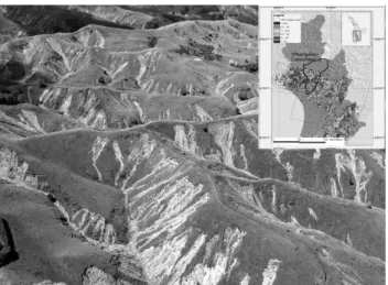 Fig. 1. Extensive shallow slope failures in New Zealand’s North Is- Is-land soft rock country triggered from intense rainfall events (image from Hancox and Wright, 2005)