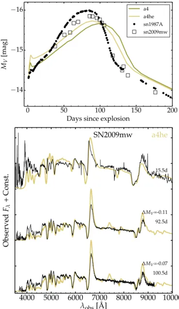 Figure 10 shows that the Doppler velocity at maximum absorption in Hα and Fe ii 5169 Å initially follows the  predic-tions for model a4 but quickly transipredic-tions to resembling the properties for the weakest explosions in our sample