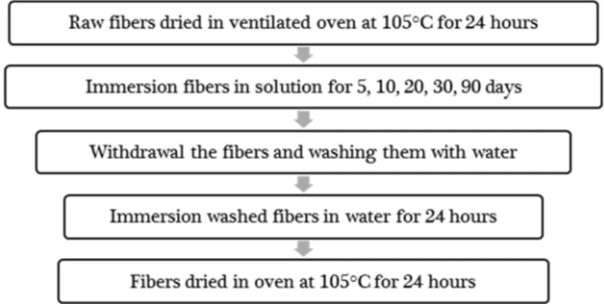 Figure 7. The exposure procedure. 