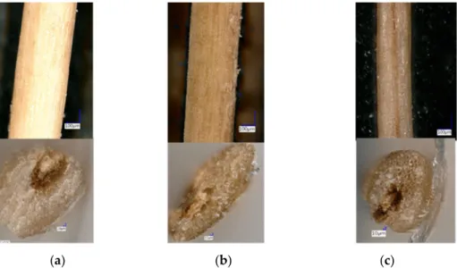 Figure 8. Microscope images of surface and cross-section of fiber: (a) raw fiber (RF); (b) alkali-treated  fiber (ATF); (c) boiled fiber