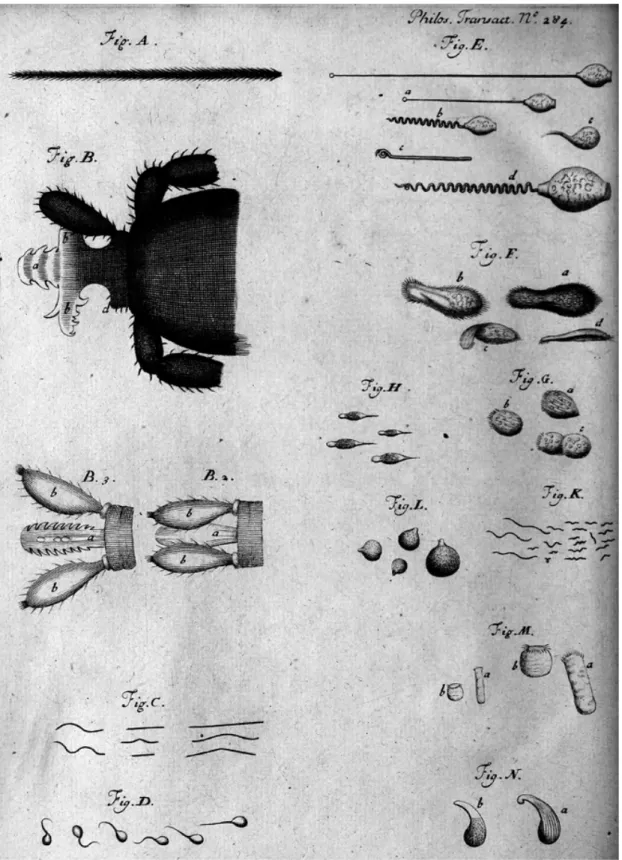 Figure   1.   Plate   from   the   first   anonymous   communication      "An   extract   of   some    letters   sent   to   Sir   C.H
