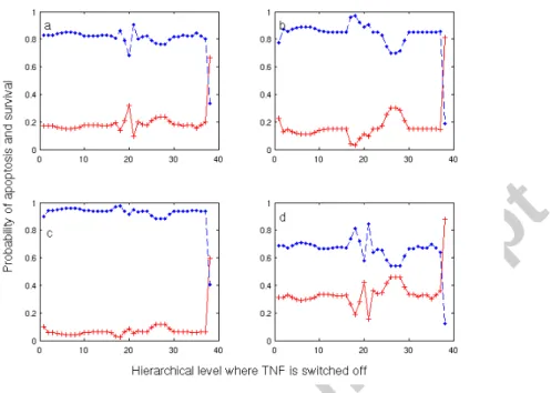 Figure 5: The curves represent the system’s response to TNF switch off, after the system has reached a certain hierarchical level H i (x-axis)