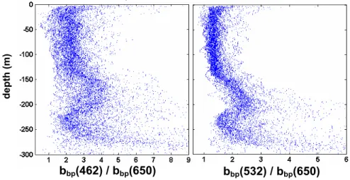 Fig. 8. Profiles (N=49) of b bp (462)/b bp (650) and b bp (532)/b bp (650) from the central gyre