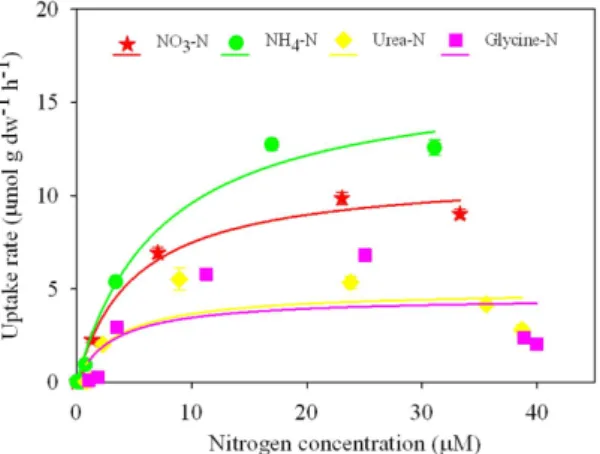 Figure 3.  Concentration-dependent uptake rates of the four nitrogen substrates by U. prolifera during the  first eight days (192 h) of the experiment