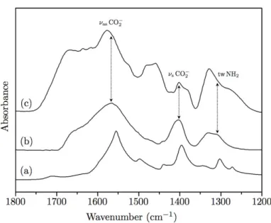 Fig. 5. Comparison between the infrared spectra of a) ATR spectrum of the glycine sodium salt [Na + , NH 2 CH 2 COO − ] at room temperature;