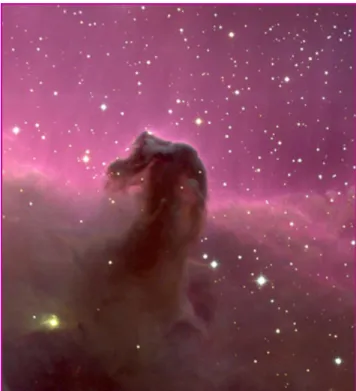 Figure 1 - Nébuleuse de la tête de cheval dans la constellation d’Orion.
