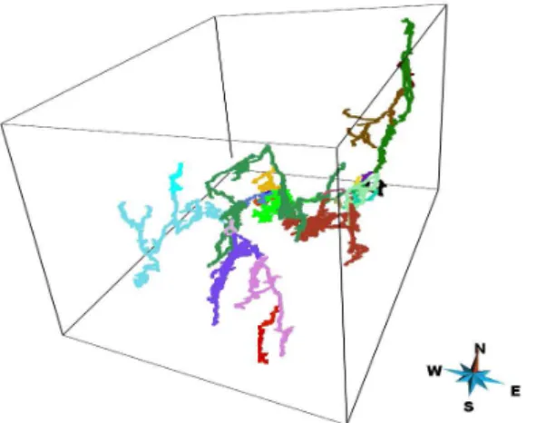 Figure 11 The 25 connected components of the Mammuthöhle net- net-work: each color represents one connected component.