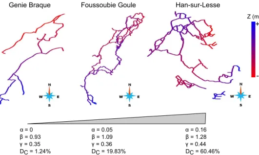 Figure 12 Three top views of karstic networks that have increasing values of Howard’s parameters and connectivity degree: low values characterize branchwork patterns, while high values are observed for reticular systems.