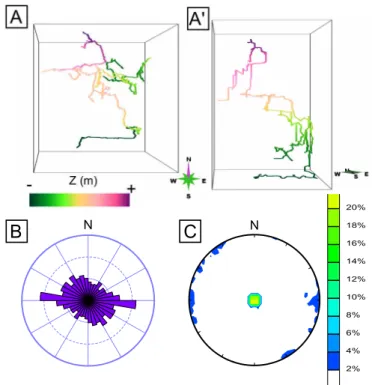 Figure 7 Orientation analysis of the Ratasse karst: an example of network with two preferential orientations: a subvertical one and a subhorizontal one