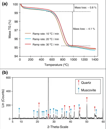 Figure 1. (a) Dehydration curves of muscovite used in this study. The data were obtained by a simultaneous thermogravimetry-differential scanning calorimetry (NETZSCH STA 409 C/CD) instrument installed in ETH Zurich.