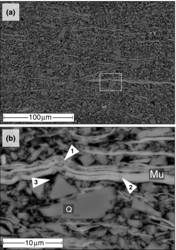 Figure 2. Microstructure of the starting material consisting of quartz (Q) and muscovite (Mu) in SEM under BSE mode