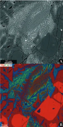 Fig. 11. Backscattered electron images obtained in the EPMA of (A) a quench-textured troilite (gray)-metallic Fe,Ni (white) inclusion approximately 1500 lm in longest dimension