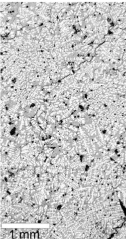 Fig. 3. Enlarged BSE image of the rectangular area outlined in Fig. 2 of the Fe,Ni-FeS lithology LAR 04316,3, showing the quench texture of the metallic Fe,Ni dendrites (white) with arm ⁄ cell spacings of approximately 30 lm, embedded in troilite (gray)