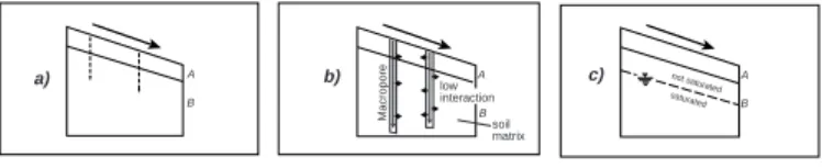 Fig. 8. Typical processes observed on the 18 investigated plots.