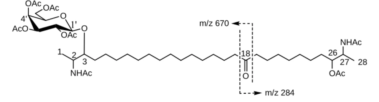 Figure 2. MS Fragmentation of rhizochalin peracetate 1. 