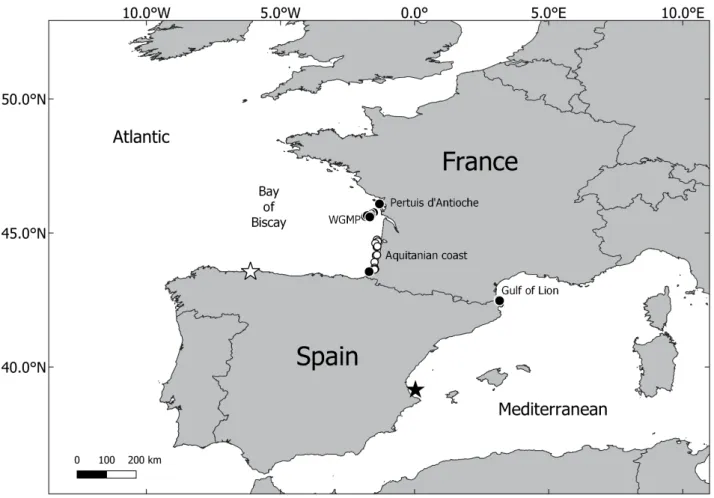 FIGURE 1. Spiophanes afer (black dots) and Prionospio cristaventralis (white dots) distributions along French coasts  (WGMP: West Gironde Mud Patch)
