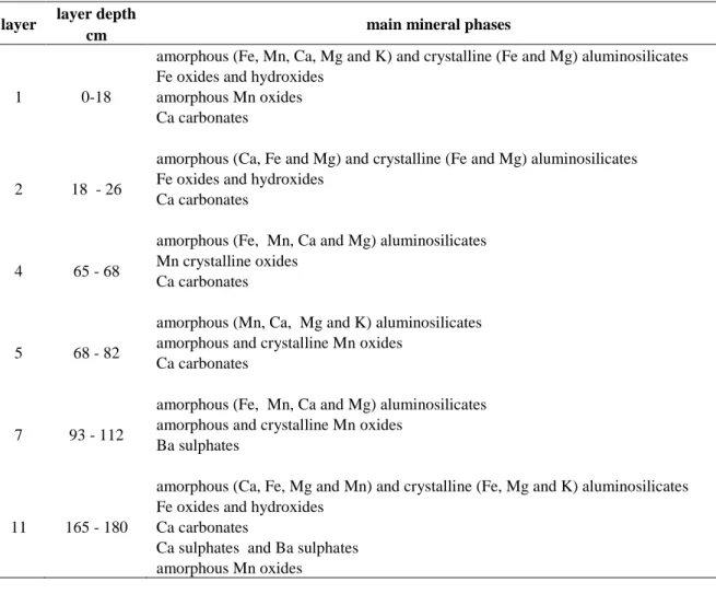 Table 5 Main mineral phases in six layers along the profile of the Technosol developing on a stratified deposit  of iron industry by-products (Lorraine, North-East France)
