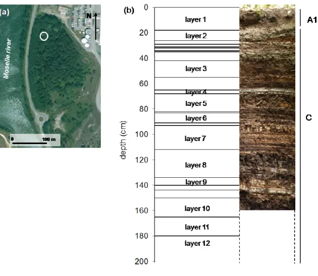 Fig. 1 Localization and sampling profile of the Technosol developing on a stratified deposit of iron industry  by-products (Lorraine, North-East France)