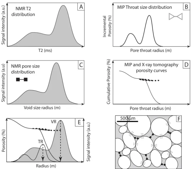 Figure 3: Methodology applied to compare pore network parameter measurements. 
