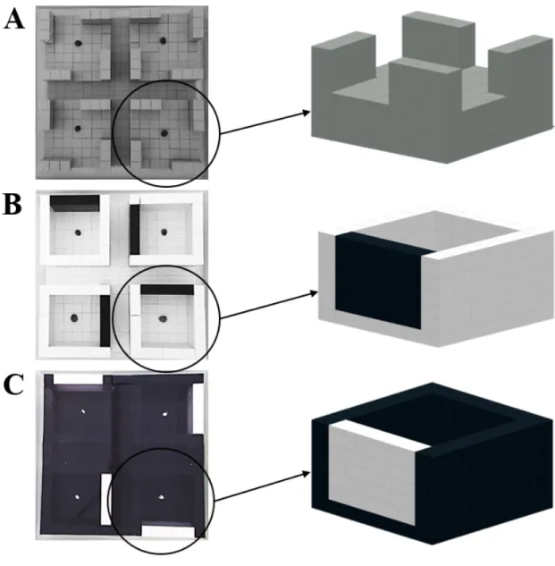 Fig. 1. Illustration of the LEGO-based structures designed to assess (A) the presence of geotaxis and thigmotaxis  577 