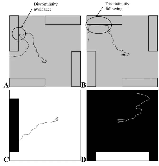 Fig.  3.  Illustrations  of  representative  tracks  from  our  thigmotactic  assay  (A)  representing  the  discontinuity 594 