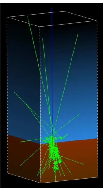 Fig. 3. Visualisation of the model set-up, showing the extensive subsurface secondary cascade generated by a single energetic  pri-mary GCR ion from directly above.