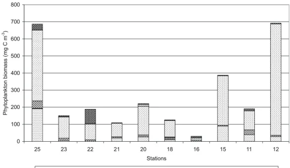 Table 3. Composition of leading complex of phytoplankton in Kem’ marginal filter at the end of August 2002.