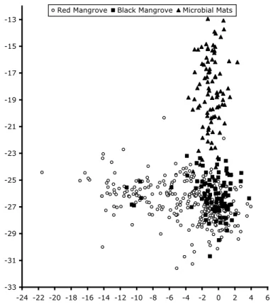 Fig. 2. The δ 15 N and δ 13 C relationships between Rhizophora mangle, Avicennia germinans, and microbial mats.