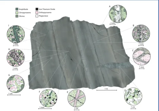 Figure 7. Sketch of a hypothetical outcrop in a future Site 1256 ophiolite of the dike-gabbro transition  zone showing the contact relationships observed in the cores and junk basket rocks recovered  during Expedition 335