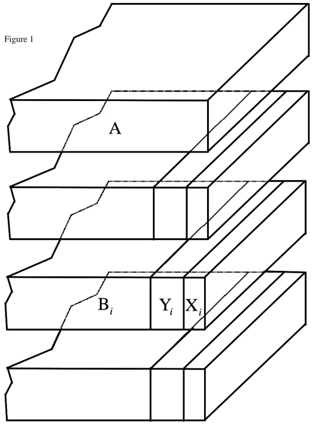 Figure 1  Y iA X iBiYiAXiBi