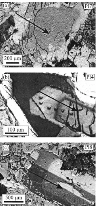 Fig. 5. Photomicrographs (crossed polars) of the three modeled crystals. Note that they all consist of a distinct  core and a rim (zones with very different extinction ANGLES = gray levels) despite their different sizes