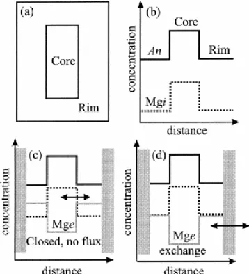 Fig. 1. Schematic illustration of major and trace element zoning in a plagioclase crystal and how the Mg  diffusive equilibrium profiles depend on boundary conditions