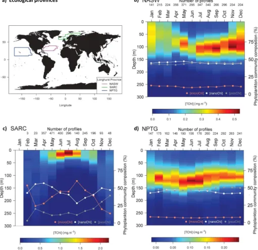 Figure 10. Monthly climatologies of the vertical distribution of the total chlorophyll a concentration and associated phytoplankton size-based groups for three ecological provinces defined by Longhurst (2010)