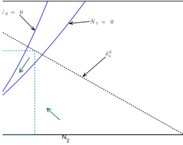 Fig. 4 Projection on the plane (N 1 , N 2 ) of the nullclines of the slow field on S + 