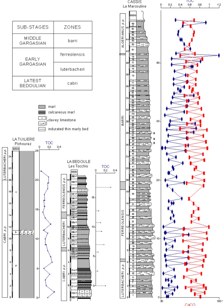 Figure 2: Lithologic profiles of the studied sections and vertical distribution of the total organic carbon content (TOC,  in weight %)