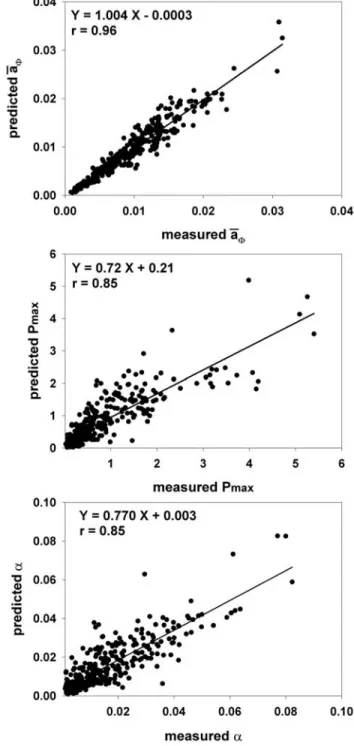 Figure 8. Comparison of measured and predicted values for three bio-optical or photophysiological parameters.