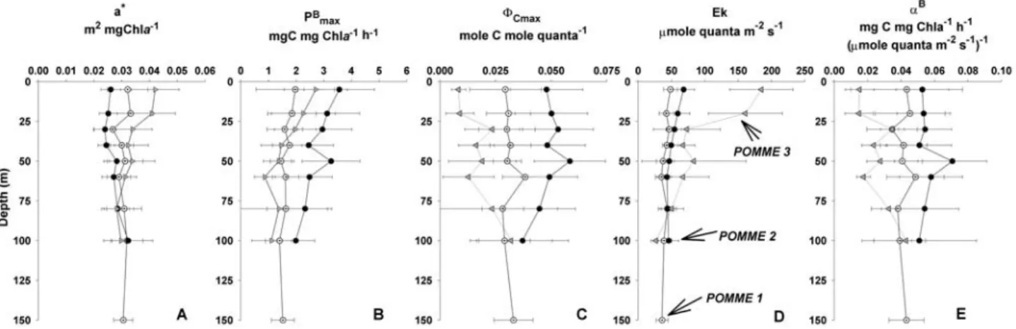 Figure 4. Average vertical profiles in rates of primary production during the three POMME cruises in the eastern North Atlantic in 2001.